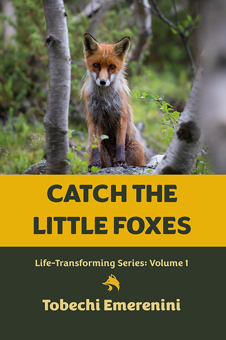 Catch The Little Foxes