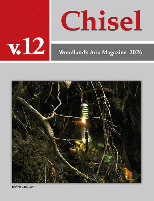 Chisel - Volume 12