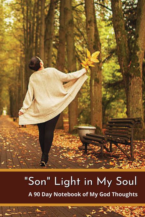 "Son" Light in My Soul- 90 Day Notebook