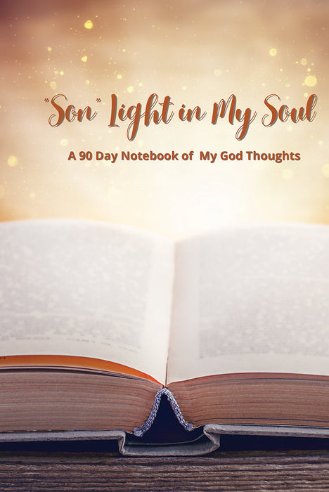 "Son" Light in My Soul- 90 Day Notebook