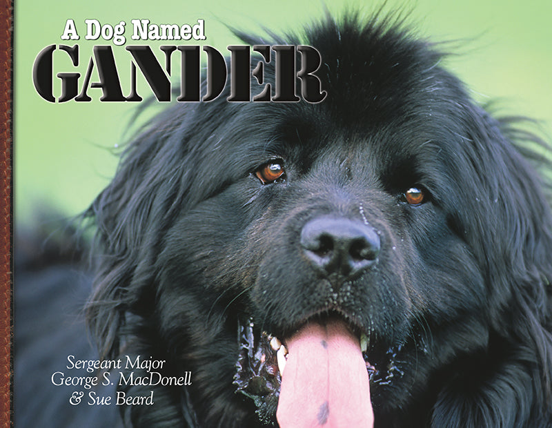 A Dog Named Gander (Hardcover)