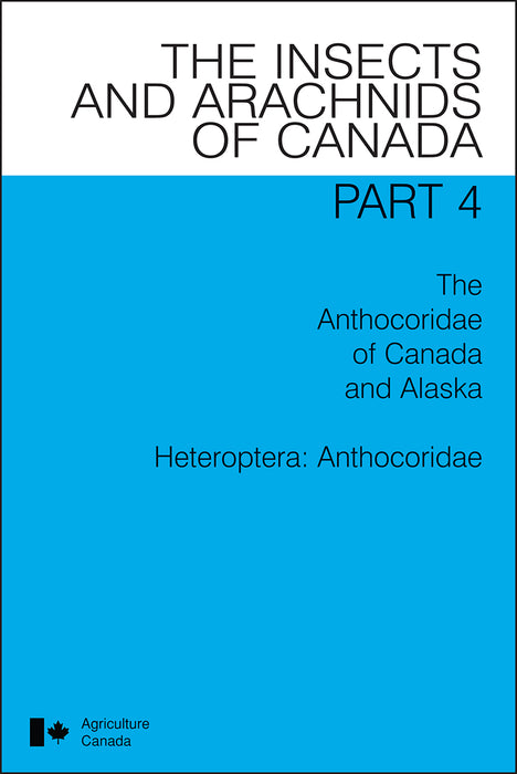 The Anthocoridae of Canada and Alaska