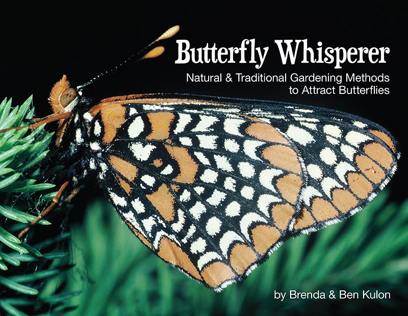 Butterfly Whisperer