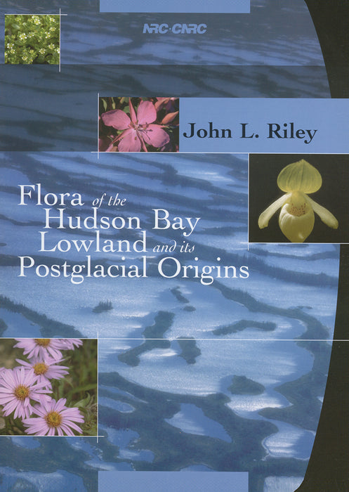 Flora of the Hudson Bay Lowland and its Postglacial Origins