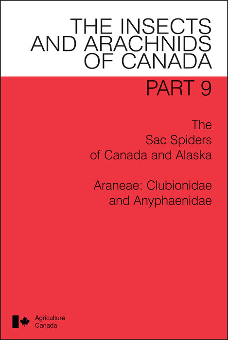 The Sac Spiders of Canada and Alaska