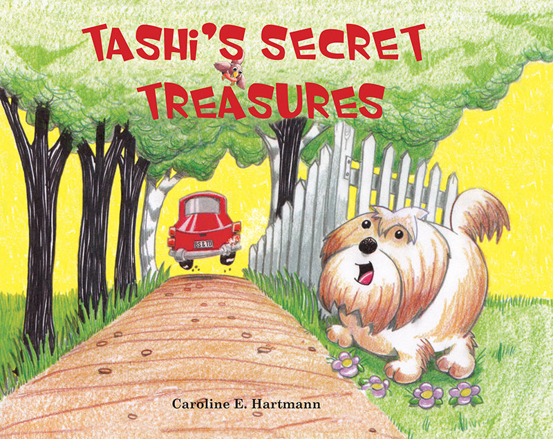 Tashi's Secret Treasures
