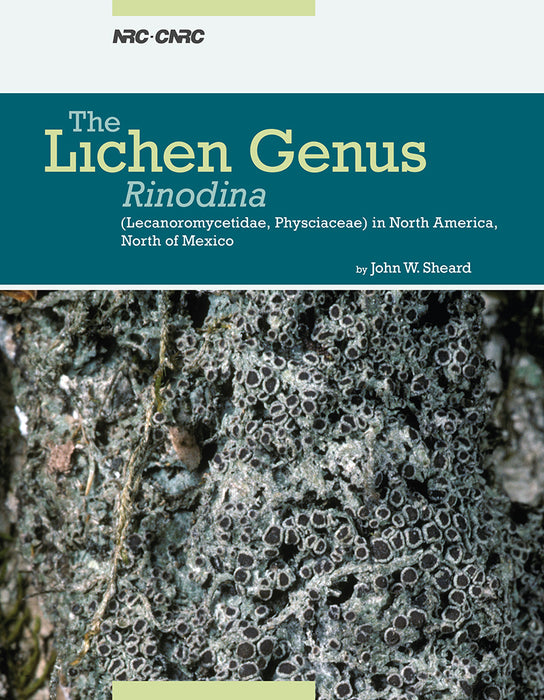 The Lichen Genus Rinodina (Lecanoromycetidae, Physciaceae) in North America, North of Mexico