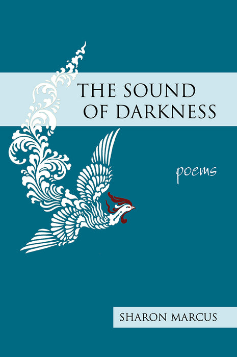 The Sound of Darkness